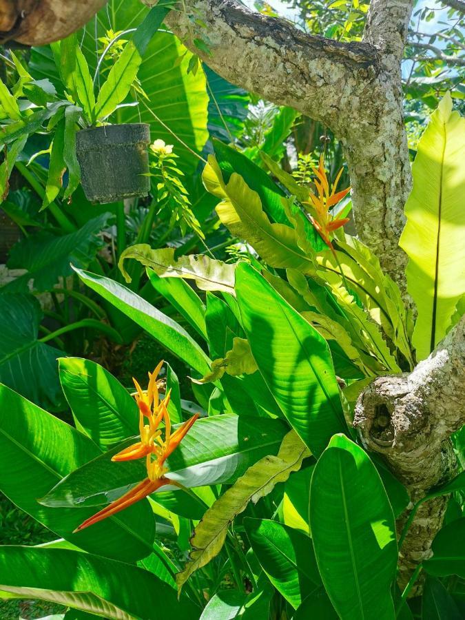 Artoria Dream Villas Bali Nusa Dua  Zewnętrze zdjęcie